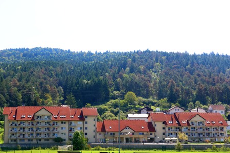 SUŠENJE DREVES ILUSTRACIJA 03 FOTO LJUBO VUKELIČ